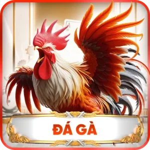 Đá Gà JIN88 – Những Trận Đấu Đỉnh Cao Dành Cho Người Đam Mê Chọi Kê